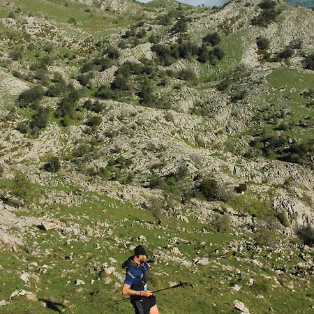 Cerca De Playas Lejlighed *